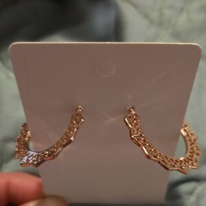 Elegant Gold Hoop Earrings